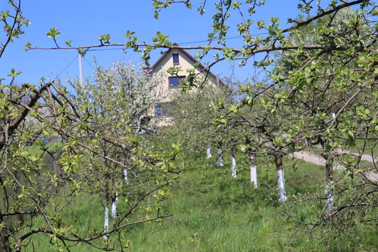 Villa Fratole Nielisz Exterior foto